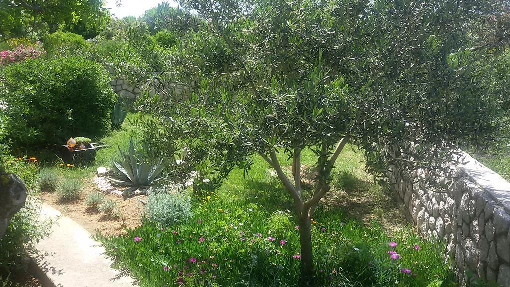 Bed&Breakfast Jugo Novalja Exterior foto
